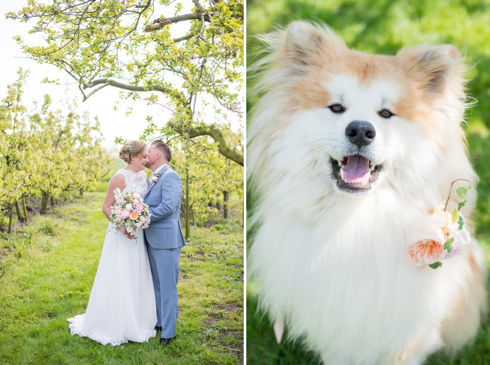 fotografie-bruiloft-huisdier-hond