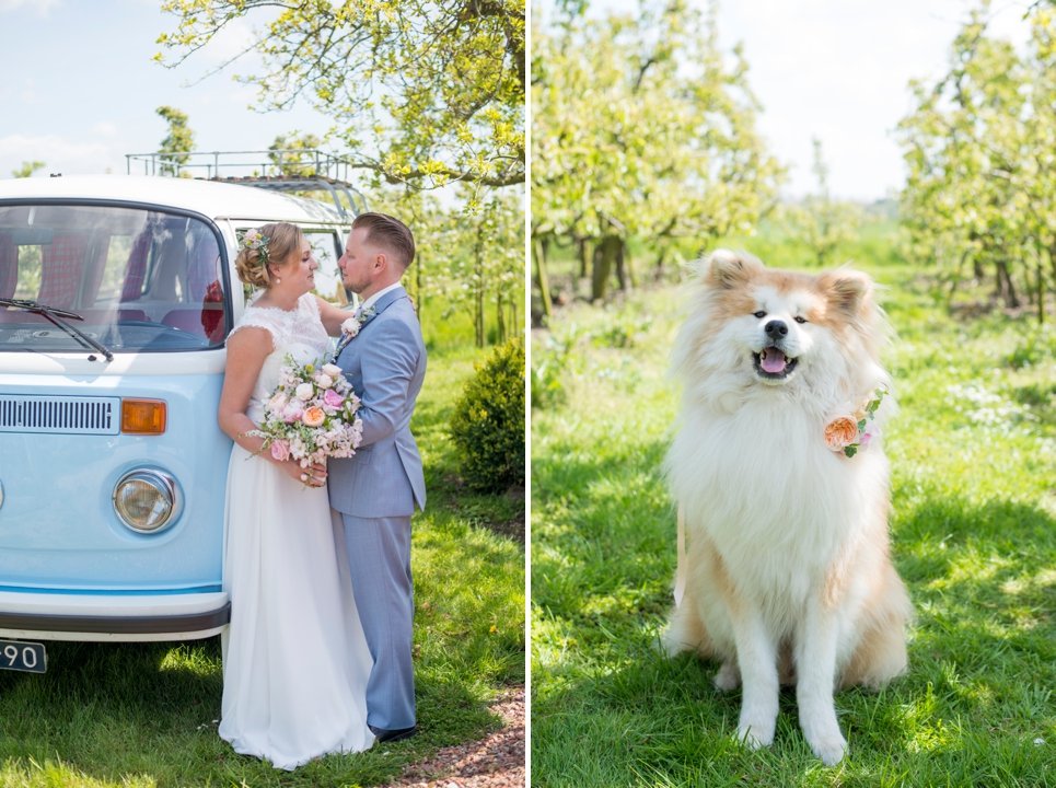 fotoshoot-in-een-boomgaard-bloesem-bruiloft